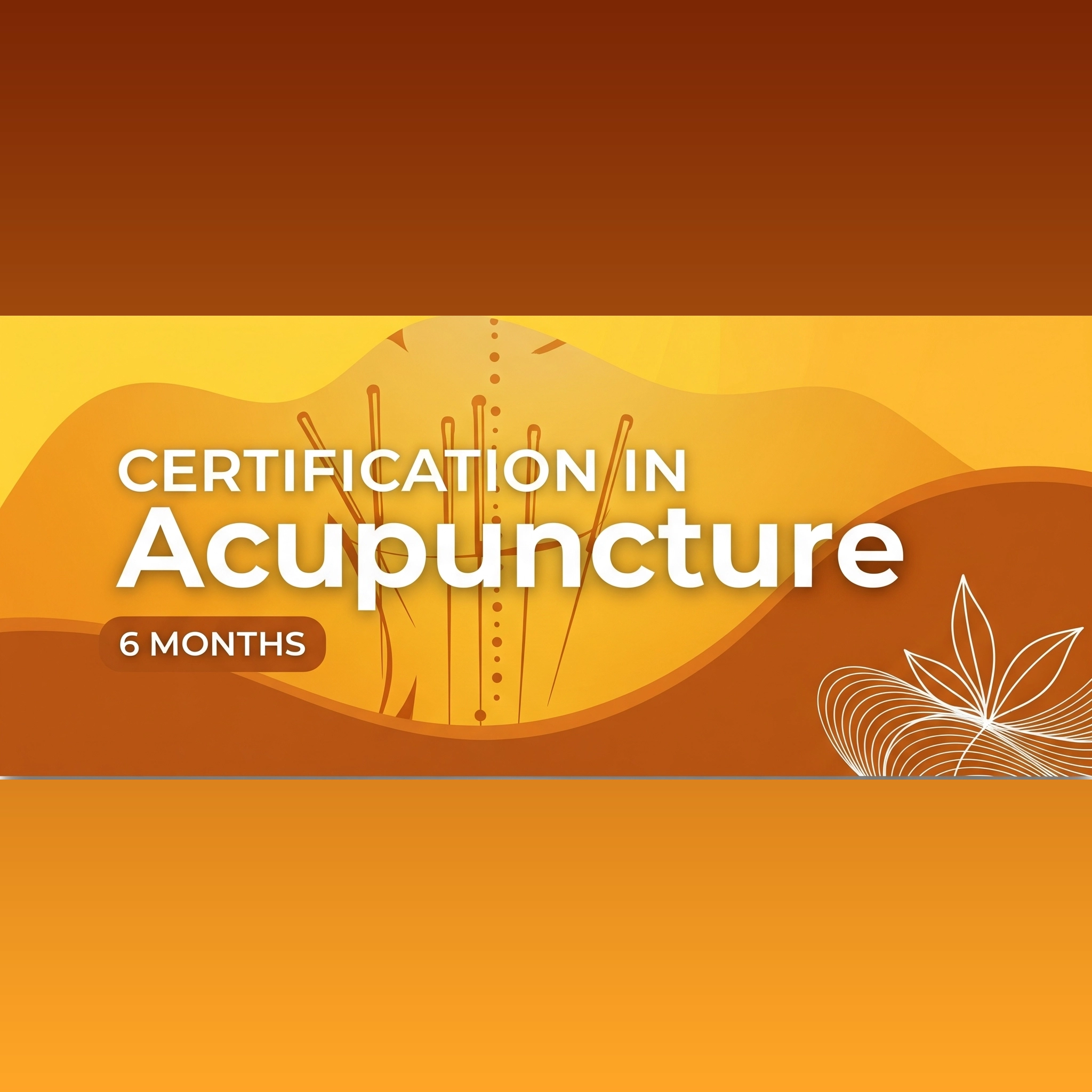 Certification in Acupuncture Madurai, Tamil Nadu