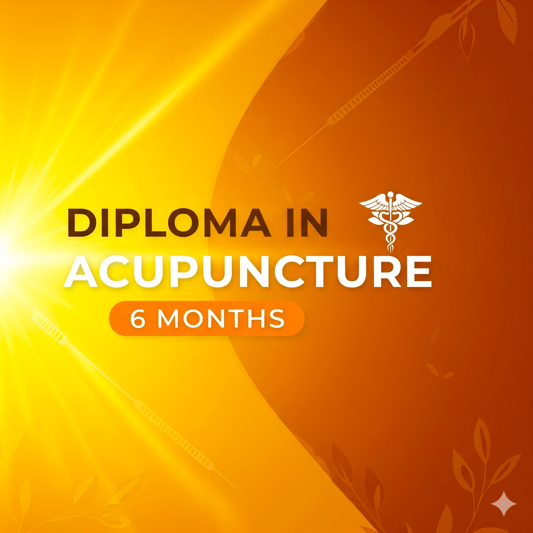 Diploma in Acupuncture 6 Months Madurai, Tamil Nadu