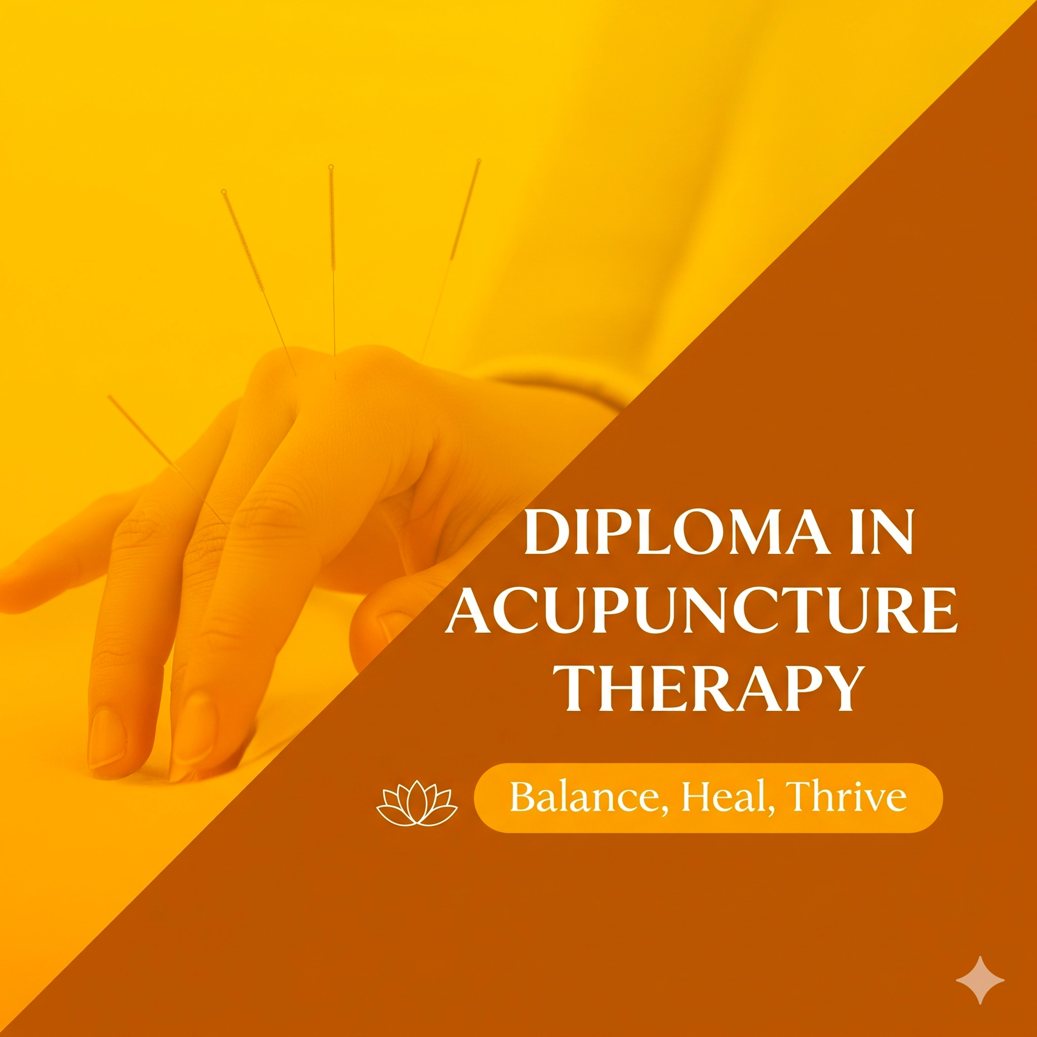 Advanced Certification in Classical Acupuncture Madurai, Tamil Nadu